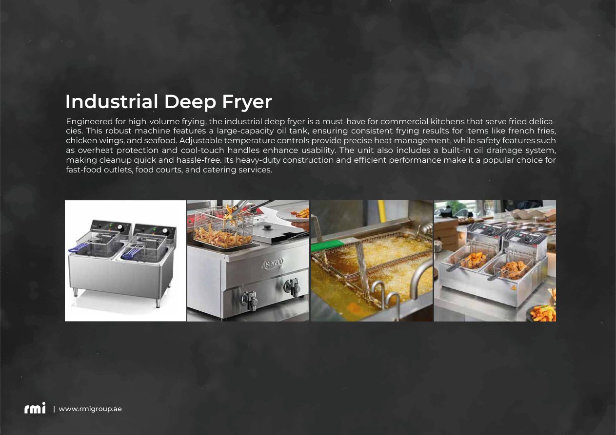 Industrial Deep Fryer